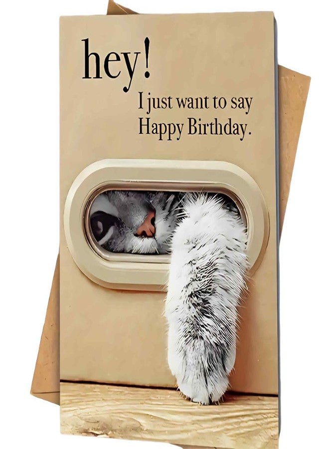 OFIFO® Creative Cat Birthday Card With Envelope 4.7x7 Inch, Cute Animal Mailbox Design Greeting Card For Friends, Family & Loved Ones, Premium Blank Writing Card For Birthday Wishes And Gift Giving - Image 1